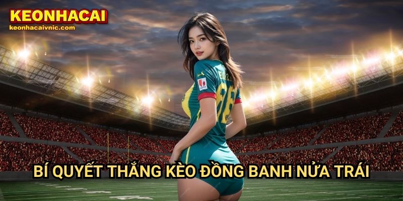 Kèo Đồng Banh Nửa Trái Là Gì? Hướng Dẫn Đặt Cược Tại Keonhacai vnic 3 Bí quyết thắng kèo đồng banh nửa trái